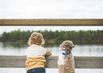Missie dierenpret: helden aan het werk!