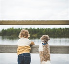 Missie dierenpret: helden aan het werk!